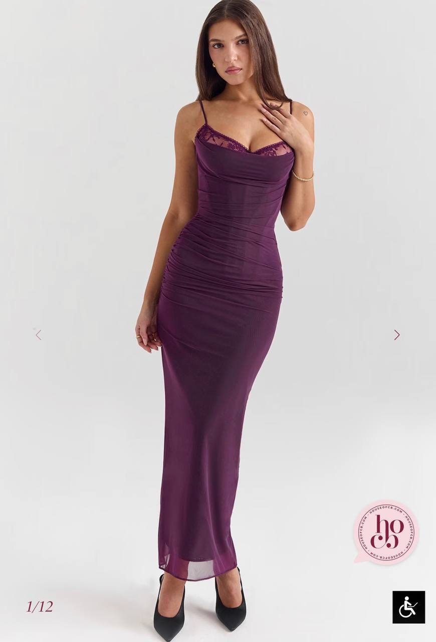Nalini Grape Mesh Corset Maxi Dress